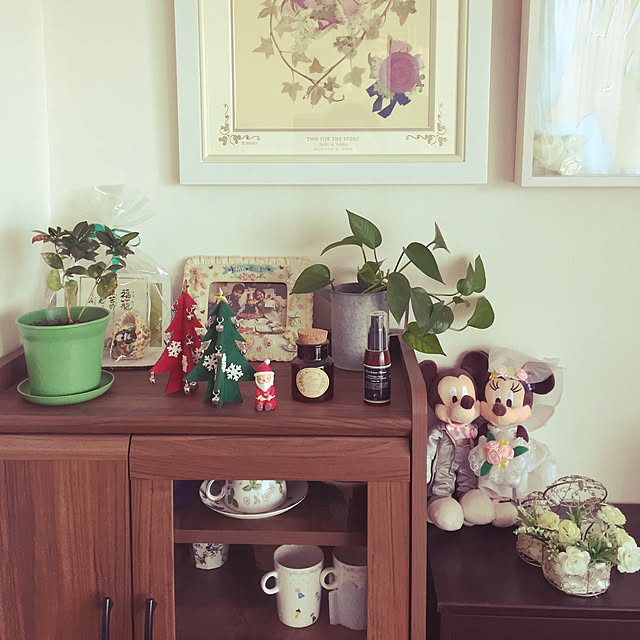棚/観葉植物のインテリア実例 - 2016-12-15 14:09:03
