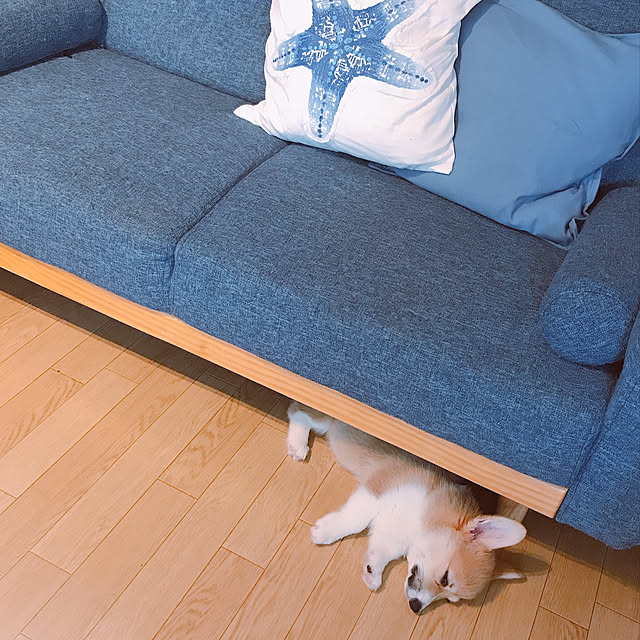 lapin0930さんの実例写真