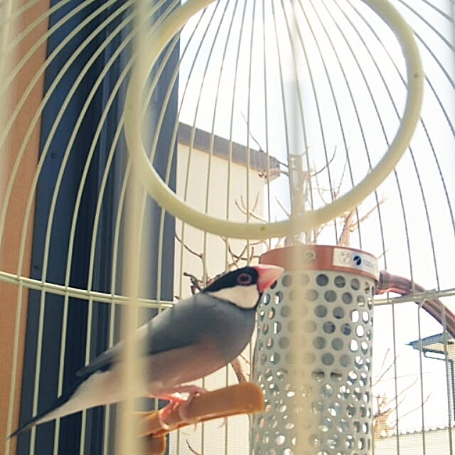 miiさんの実例写真