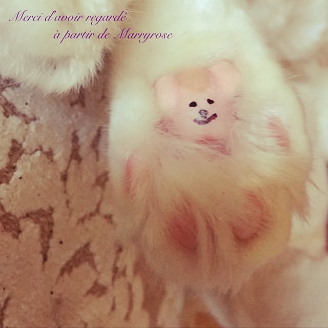 maria.rさんの実例写真