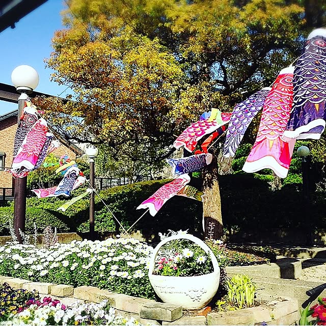George-mamaさんの実例写真
