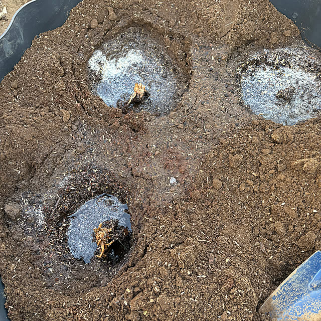 yunroomさんの部屋