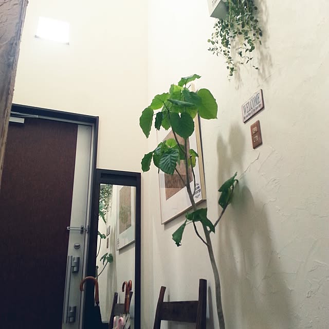 okeiさんの実例写真