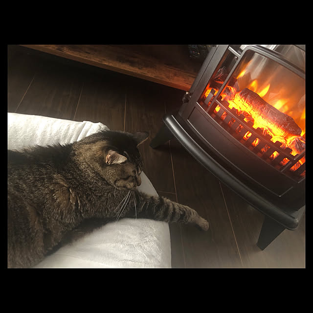 30_homeさんの実例写真