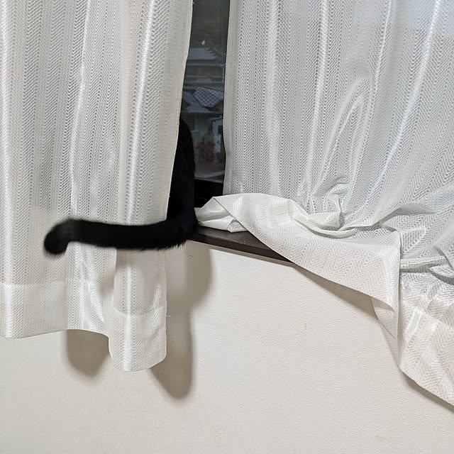 asaさんの部屋