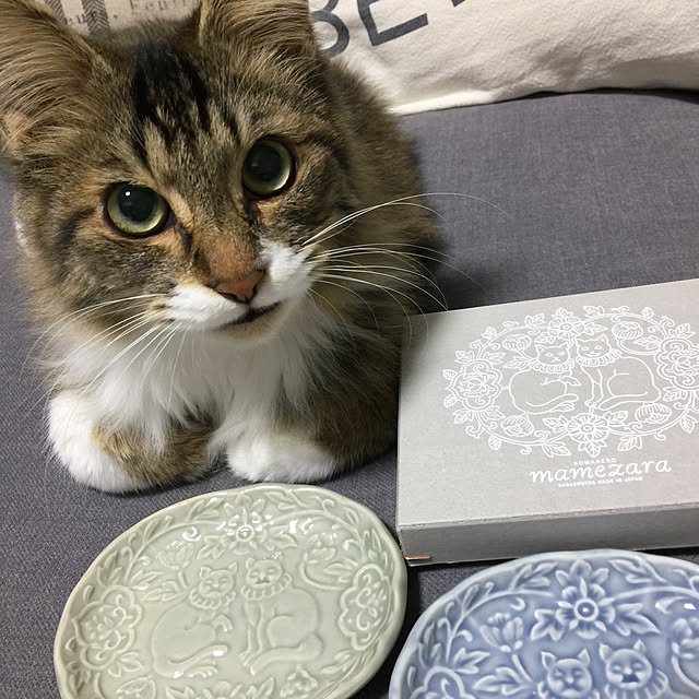 yuchiさんの実例写真