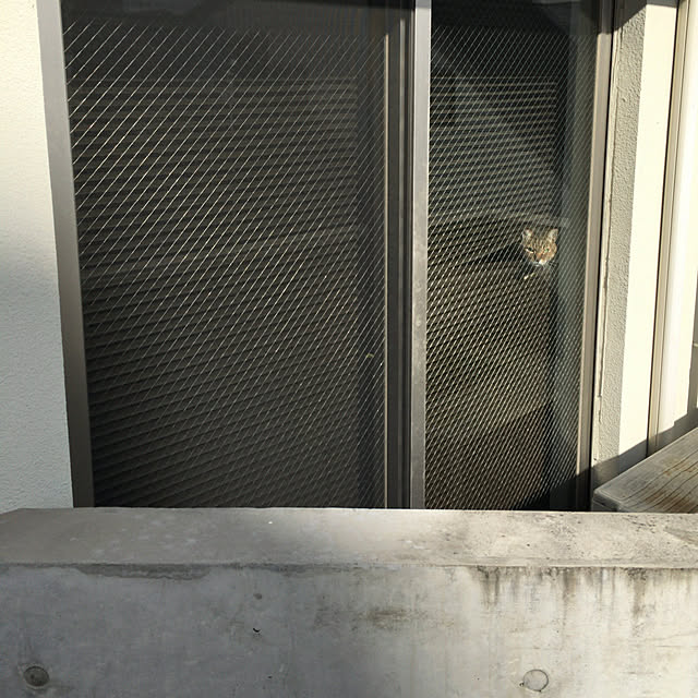 tokotokoさんの実例写真
