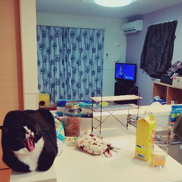 maiさんの実例写真