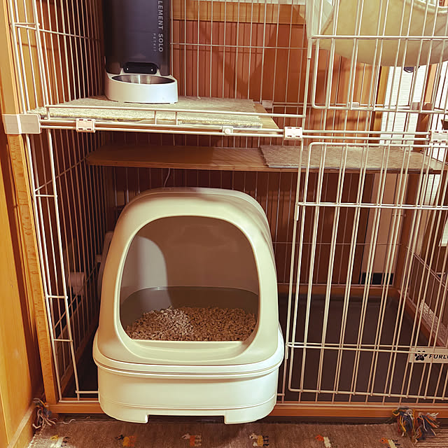 バス/トイレ/インテリア/猫トイレ/リフォーム 中古/猫のいる日常...などのインテリア実例 - 2024-04-15 22:15:58