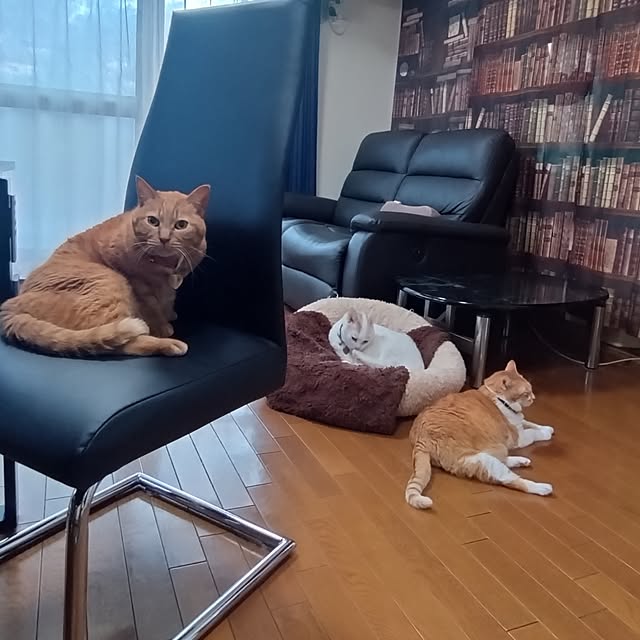 NOAHさんの部屋