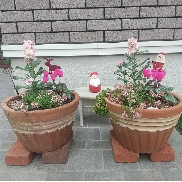 Rさんの実例写真