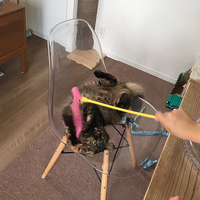 mikomaruさんの実例写真