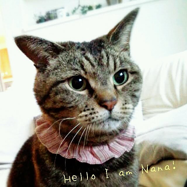 coconana165さんの実例写真