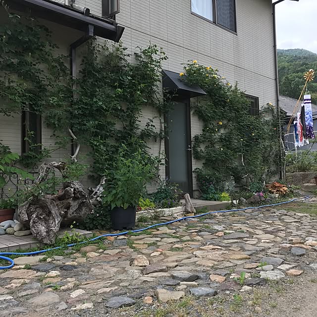 pepeさんの実例写真