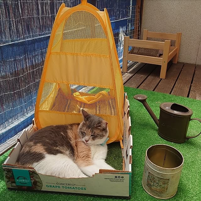 fukuさんの部屋