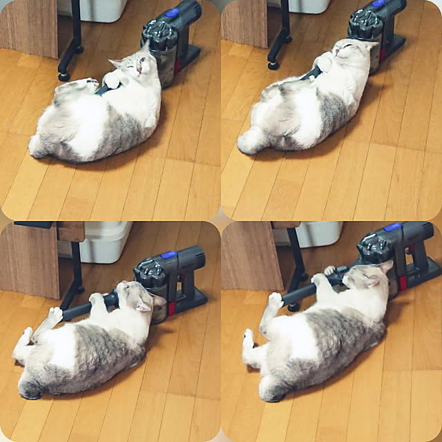 nachiさんの実例写真