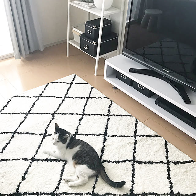 Kさんの実例写真