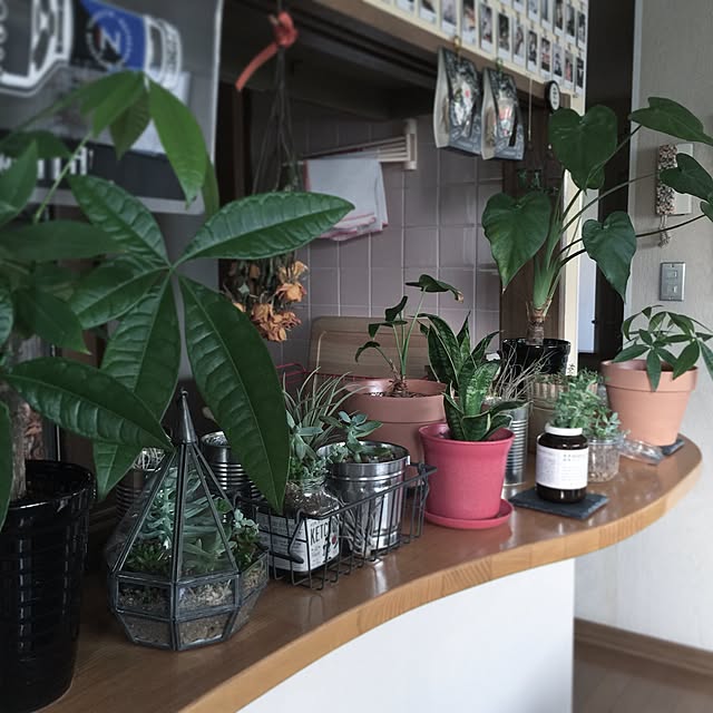 shohei011さんの実例写真
