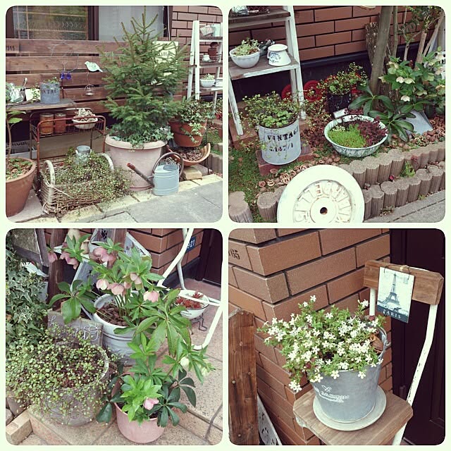 cedarrosemamさんの実例写真