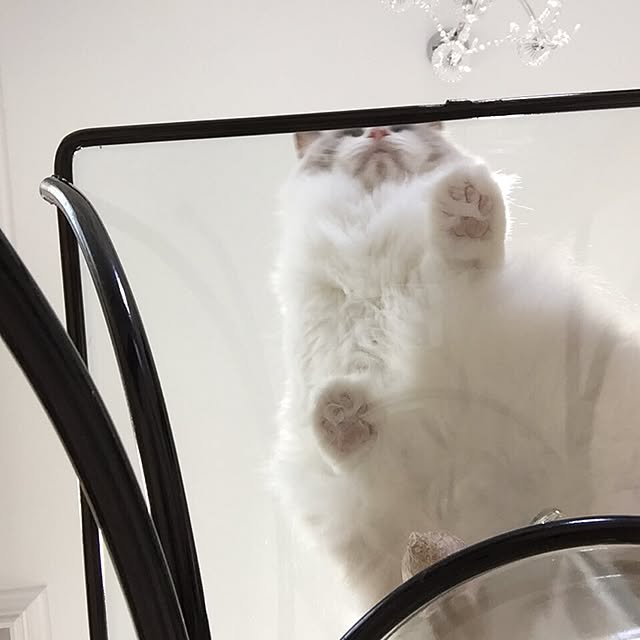 yuchiさんの実例写真