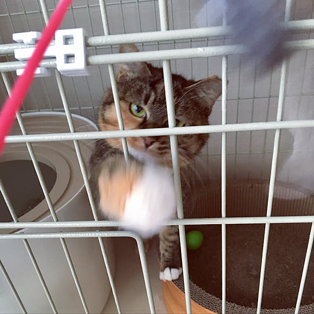 vino0414さんの実例写真
