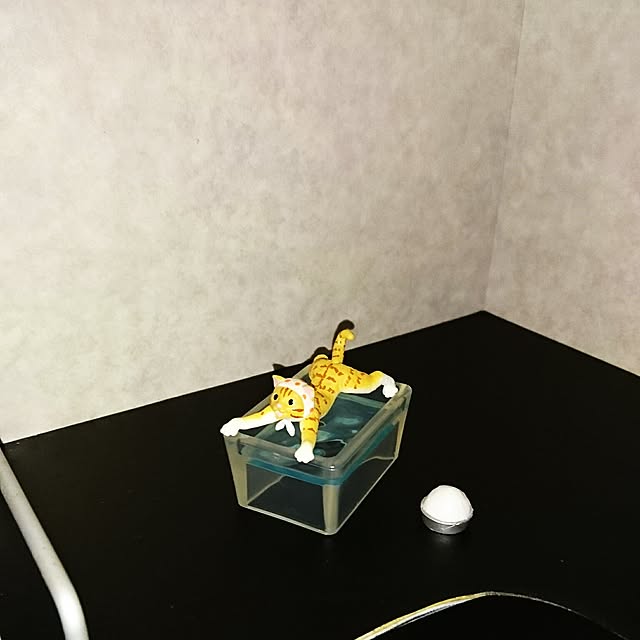 Hazukinnnnnさんの実例写真