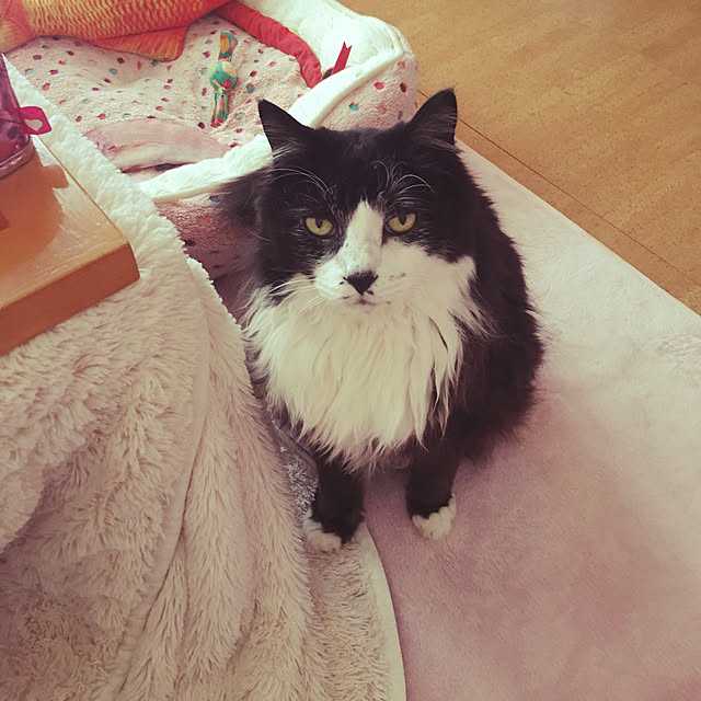 kanaさんの実例写真