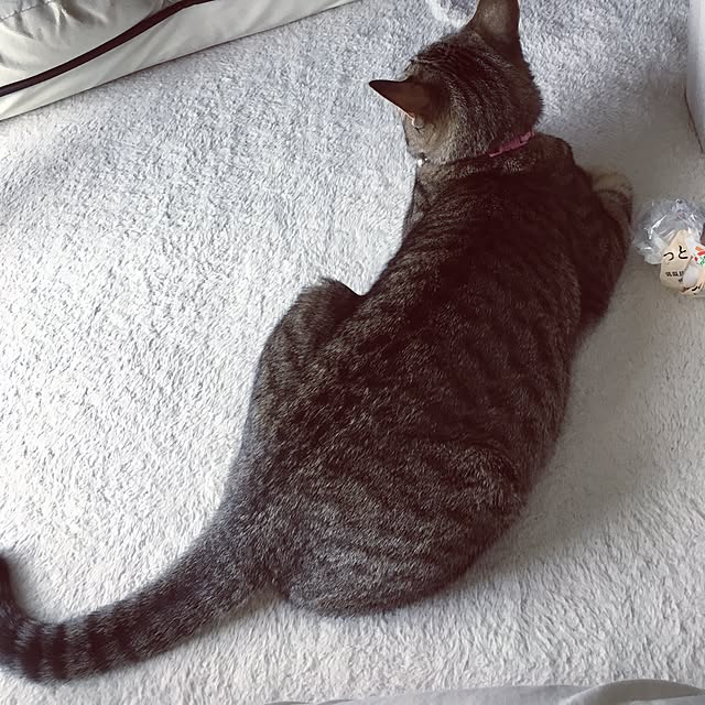 sayasさんの実例写真