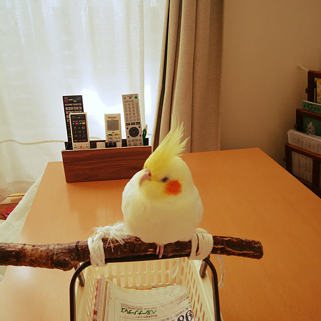 pontaさんの実例写真