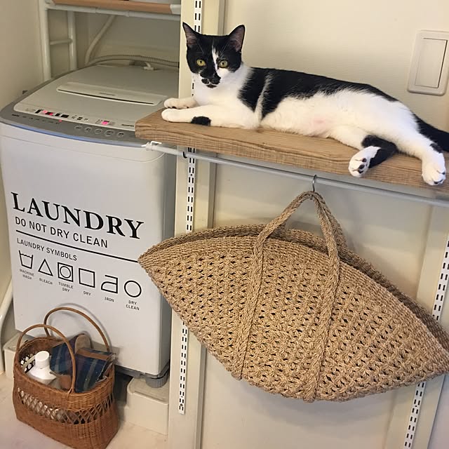 mikomaruさんの実例写真