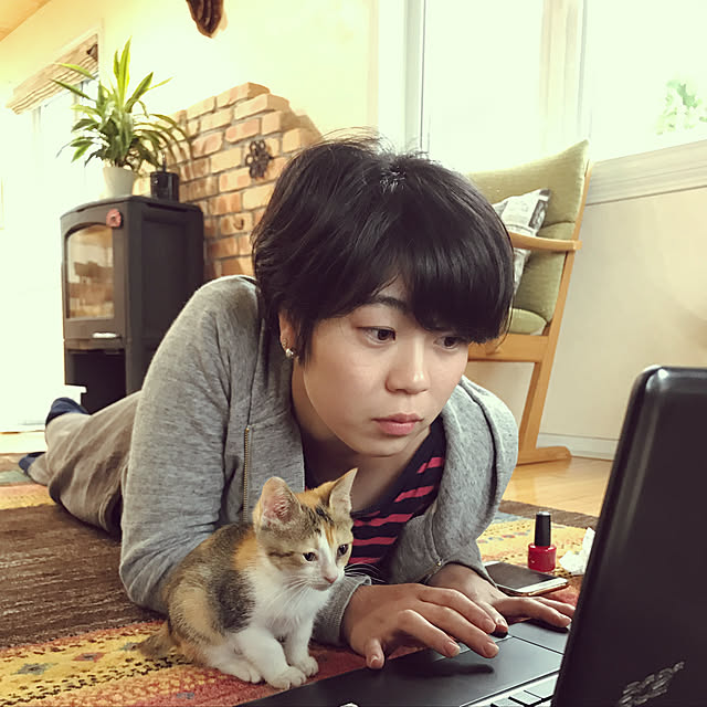 実例写真