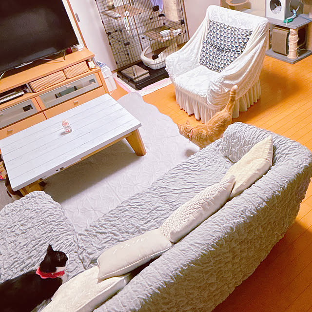 moolさんの部屋