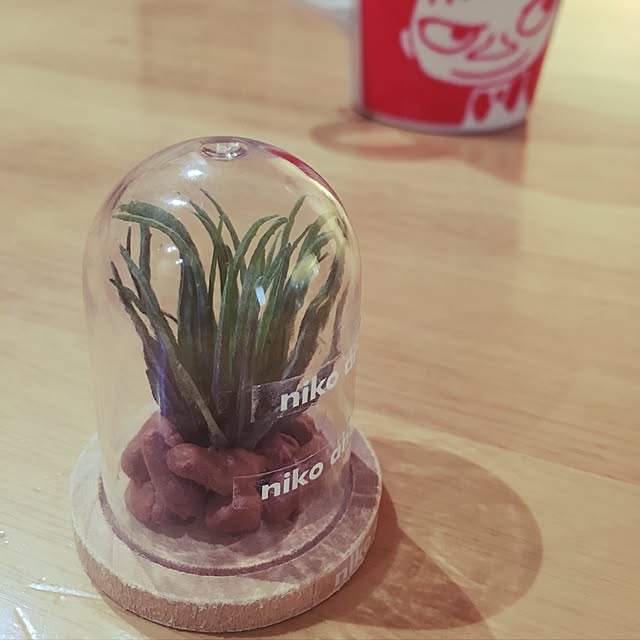 ymb_cys_さんの実例写真