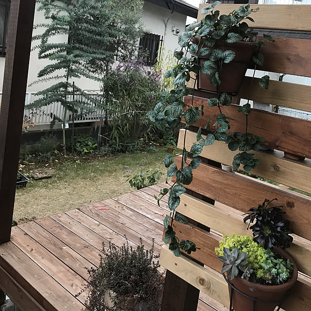 kujiraさんの実例写真