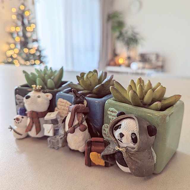 noahさんの実例写真