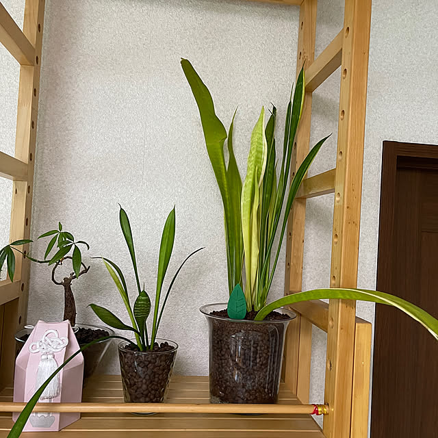 kikiさんの部屋