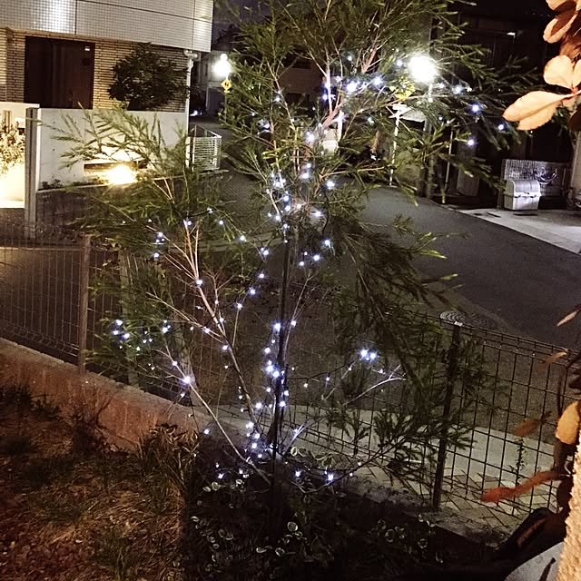 rarachanさんの実例写真