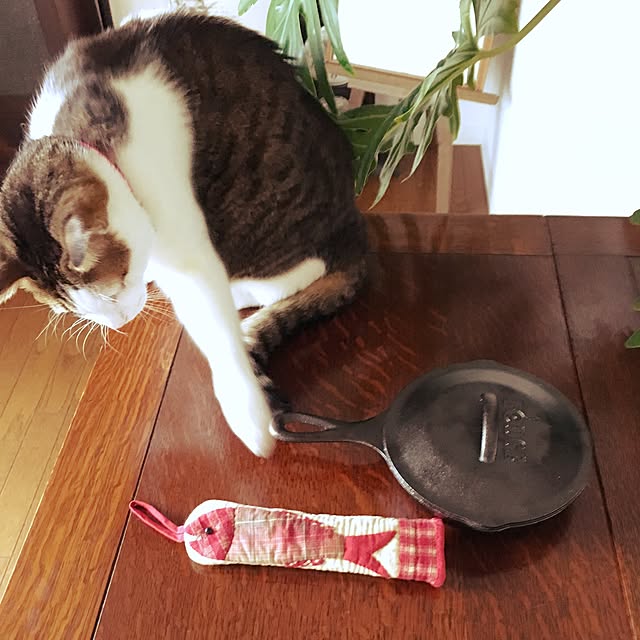 sachiさんの実例写真