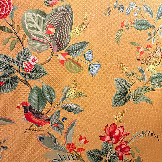 ymymcurryさんの部屋