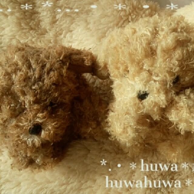 huwahuwa.mokumokuさんの実例写真