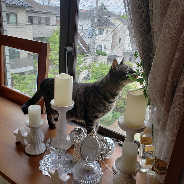 Mayumi8888さんの実例写真