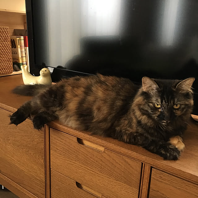 mikomaruさんの実例写真