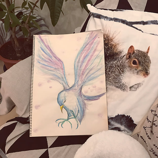 Satokoさんの実例写真