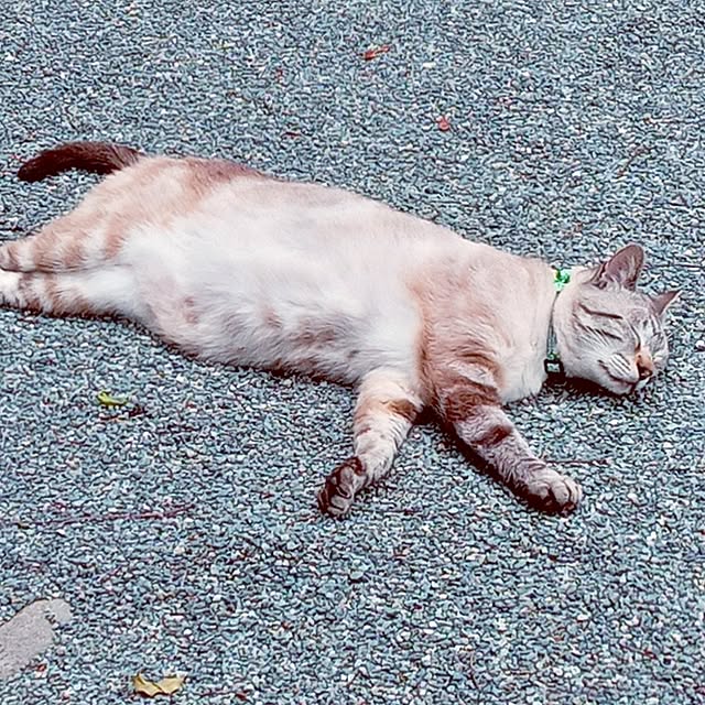 mocomocoさんの部屋