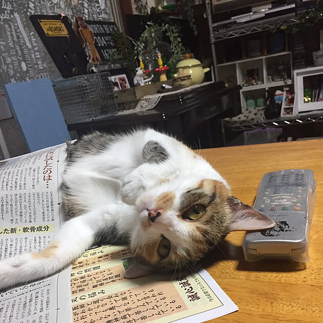 vivienne.coco-keiさんの実例写真