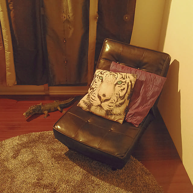 waniwaniさんの実例写真