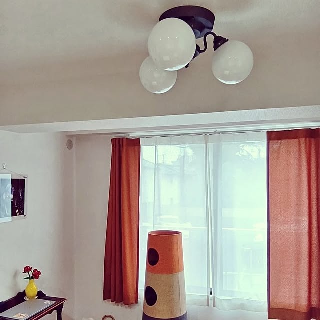 hirukumaさんの実例写真