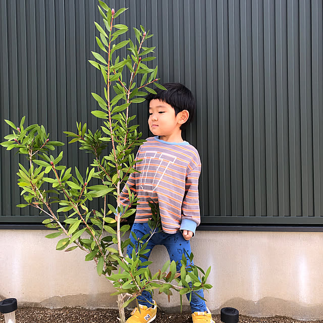 poa.t_hさんの実例写真