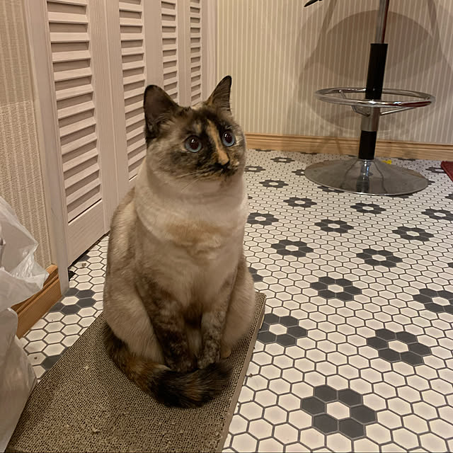 miyaさんの実例写真