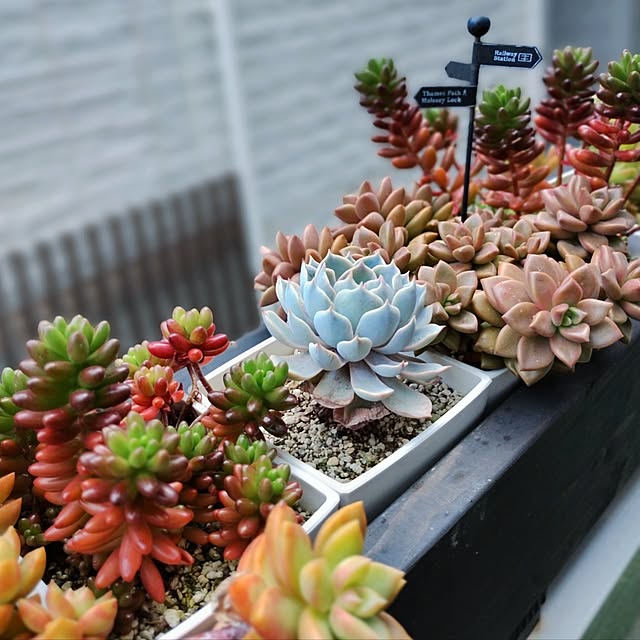 jinさんの部屋